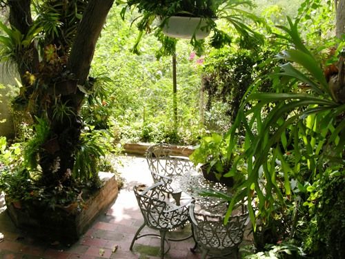 'patio' Casas particulares are an alternative to hotels in Cuba. Check our website cubaparticular.com often for new casas.