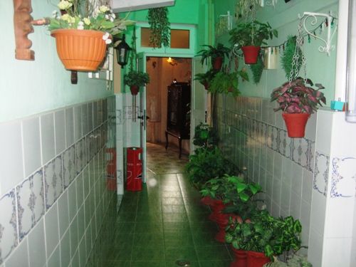 'plants' Casas particulares are an alternative to hotels in Cuba. Check our website cubaparticular.com often for new casas.