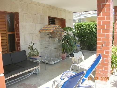 'Dog' Casas particulares are an alternative to hotels in Cuba. Check our website cubaparticular.com often for new casas.