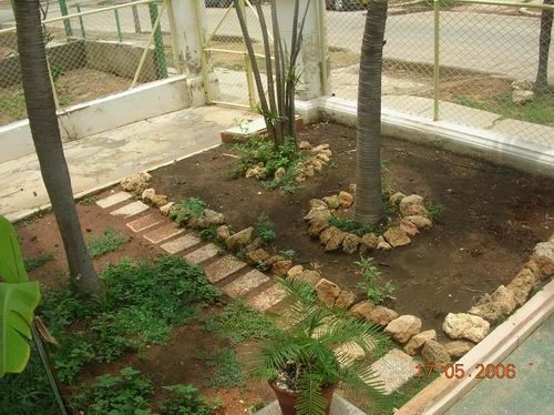 'Garden' Casas particulares are an alternative to hotels in Cuba. Check our website cubaparticular.com often for new casas.